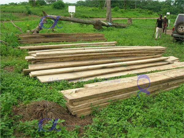 Wood planks and carpentry