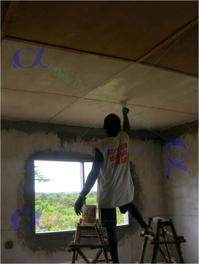 Interior ceiling paiting
