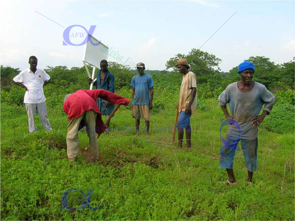 Signboard installation